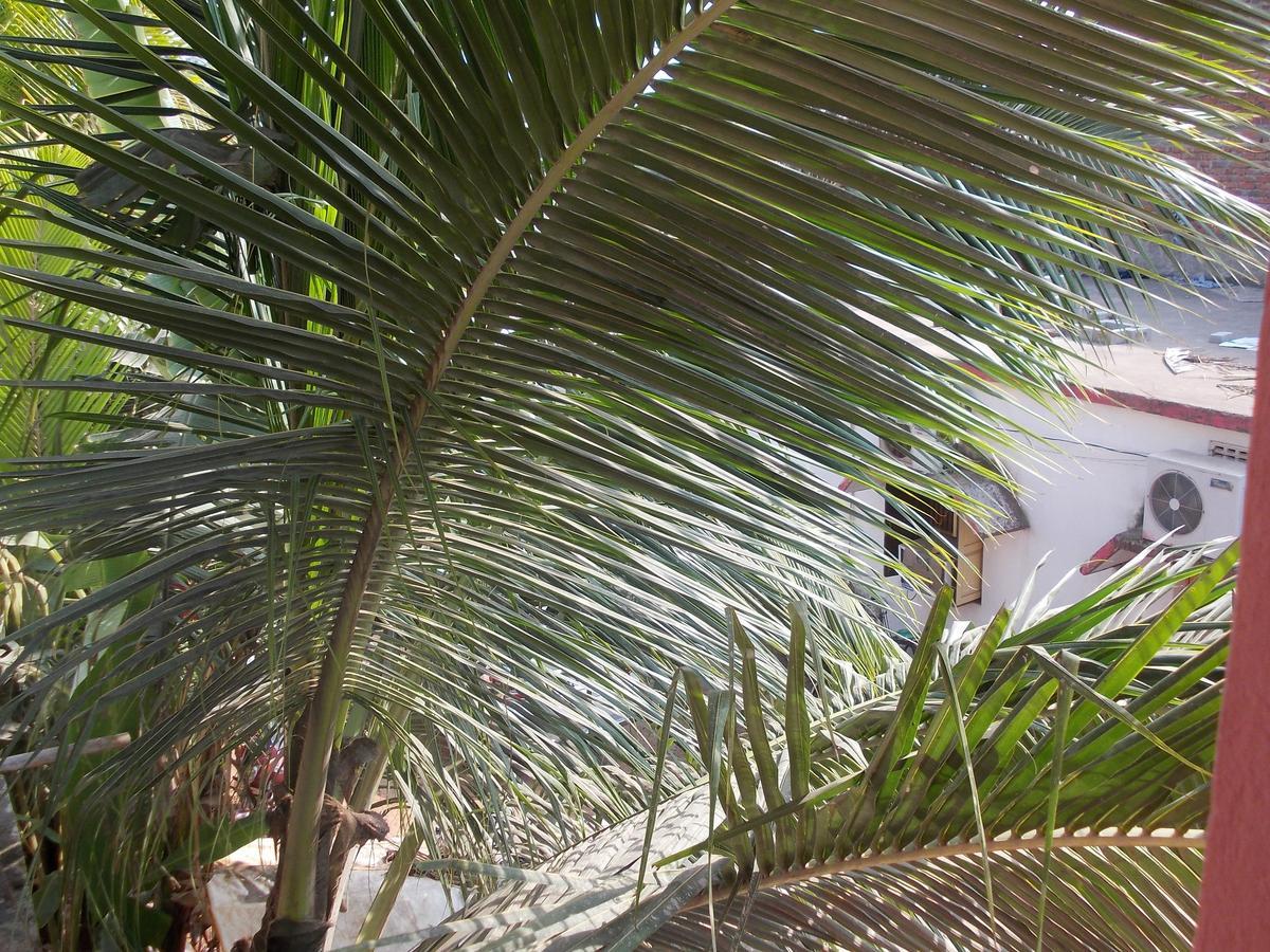 Hotel Sun Plaza-Near Konark Sun Temple- Couple Friendly-Best Choice Of Travellers Exteriör bild